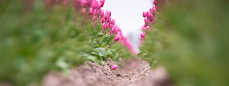 shutterstock 635698709