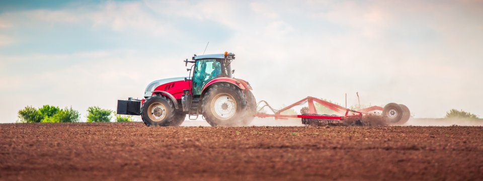 shutterstock 1933151141